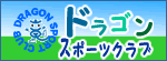 �h���S���X�|�[�c�N���u