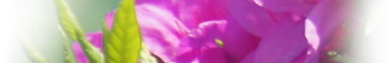 ���̉w���������݂̗�