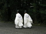 I met shinto priests 