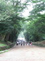 Road to shrine 