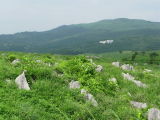 Surface of Akiyosi limestone cavern