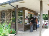 Kiyokage limestone cave