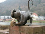 monkey?