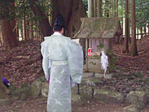 佐久奈度神社