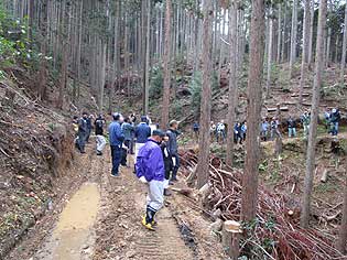 �X�ѐ����̊m�F