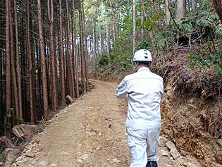 ���n�R���i���|�j