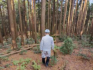 ���n�R���i�����j