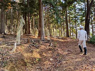 ���n�R���i�����j